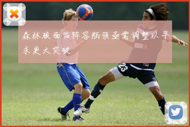 森林狼面临阵容瓶颈亟需调整以寻求更大突破