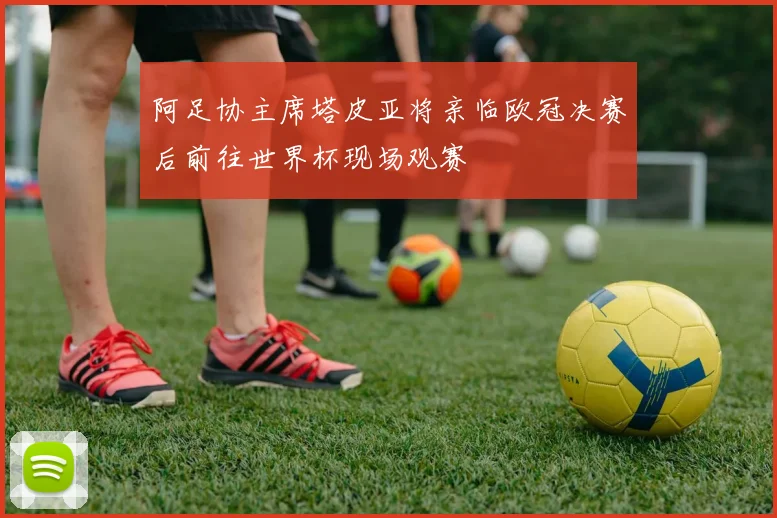 阿足协主席塔皮亚将亲临欧冠决赛后前往世界杯现场观赛